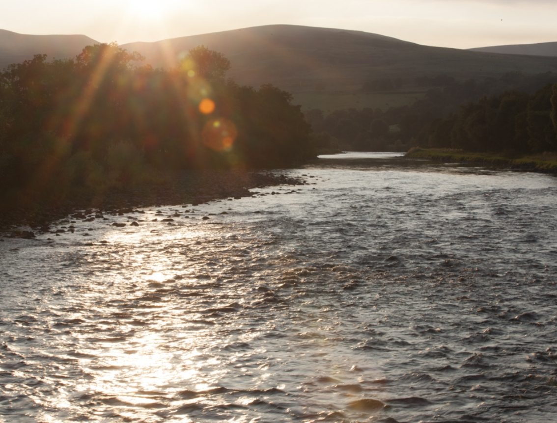 Discover Johnstons of Elgin