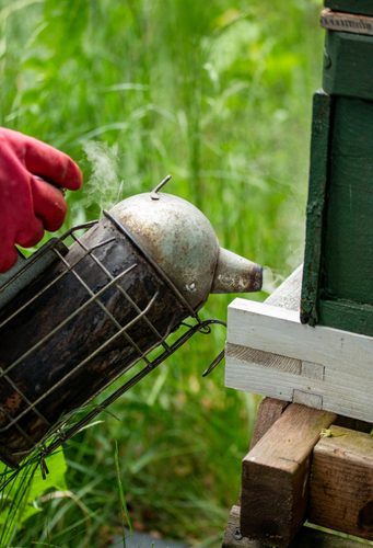 Discover Johnstons of Elgin