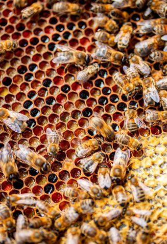 Discover Johnstons of Elgin