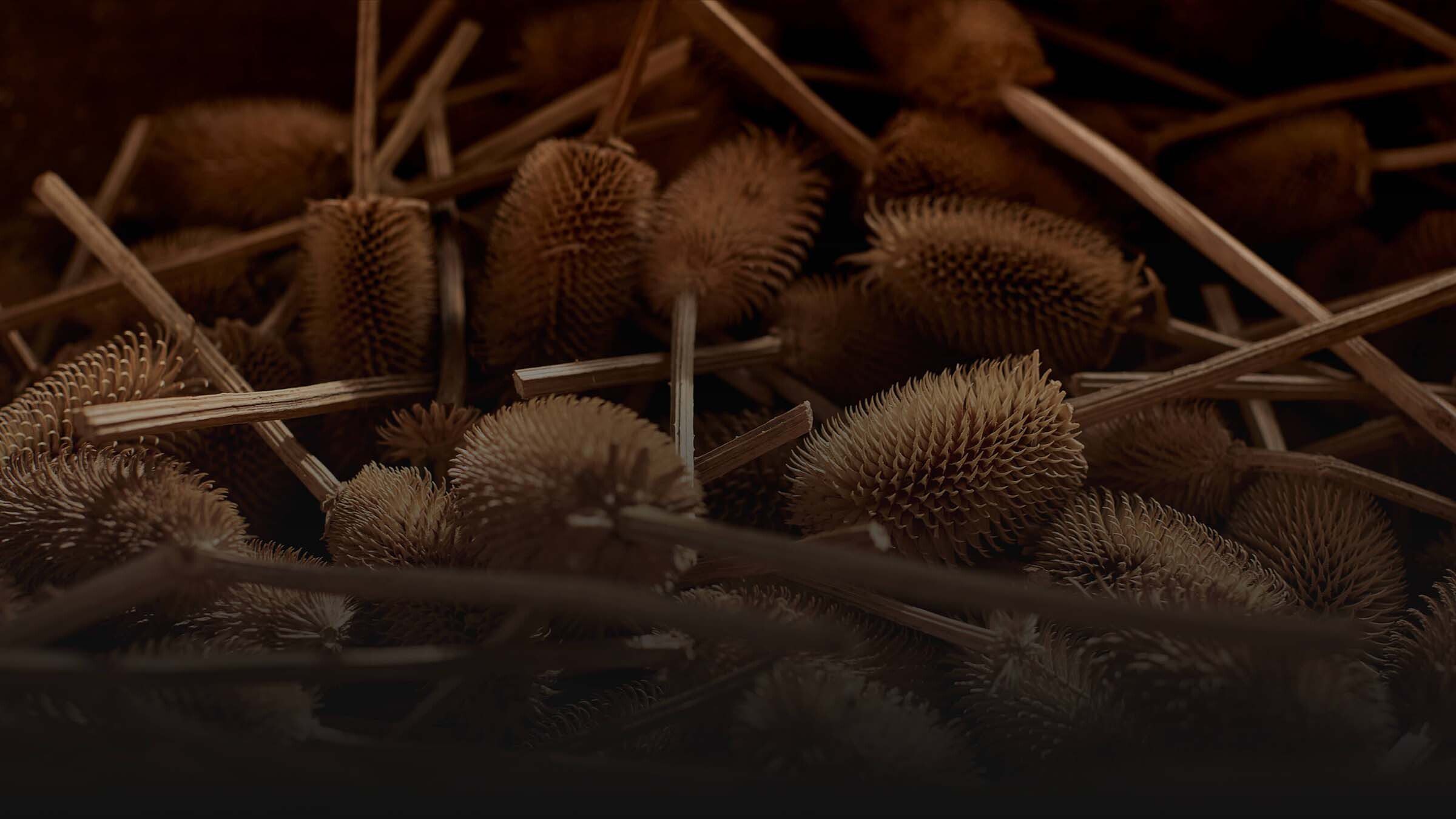 Discover Johnstons of Elgin World of Johnstons