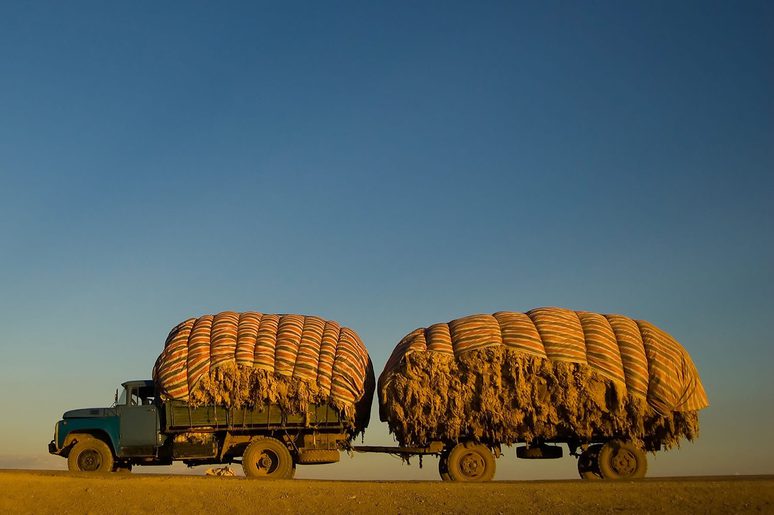 Cargo Truck