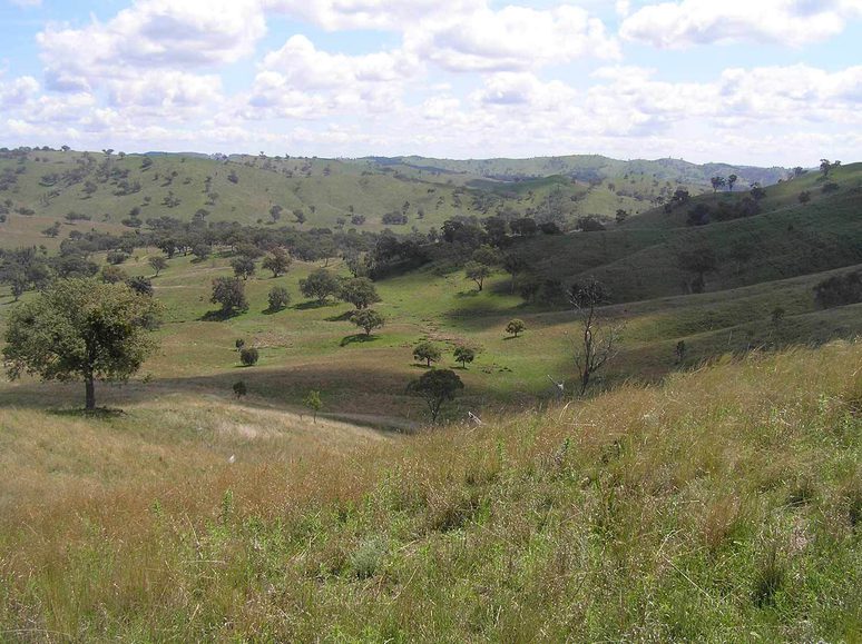 Glenwood grassland